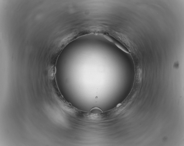 X0000090480383200707272324