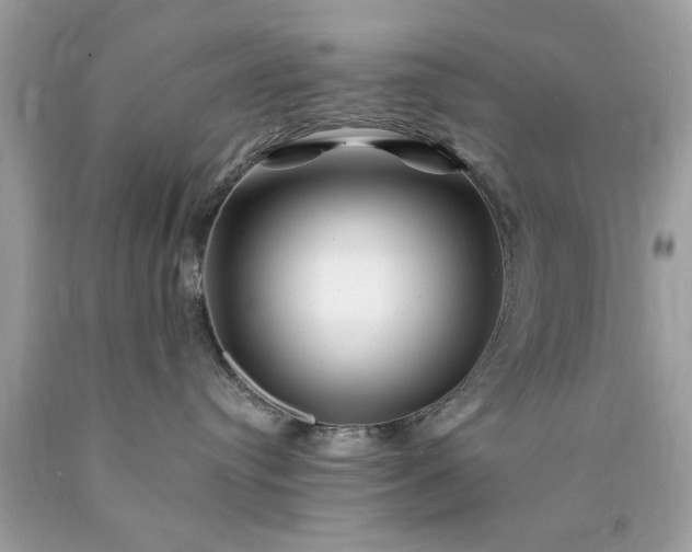 X0000090480384200707272324