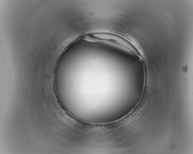 X0000090480385200707272323