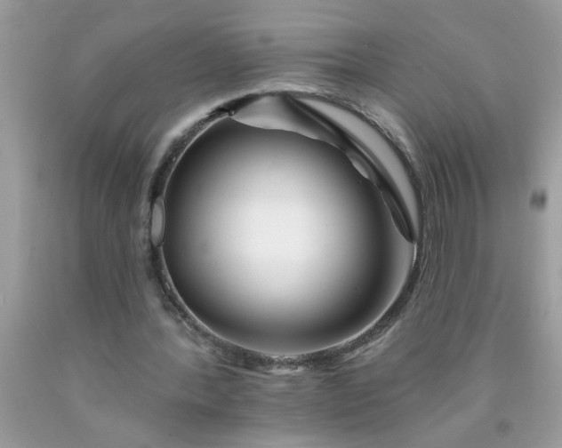X0000090480388200707272323