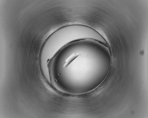 X0000090480389200707272323