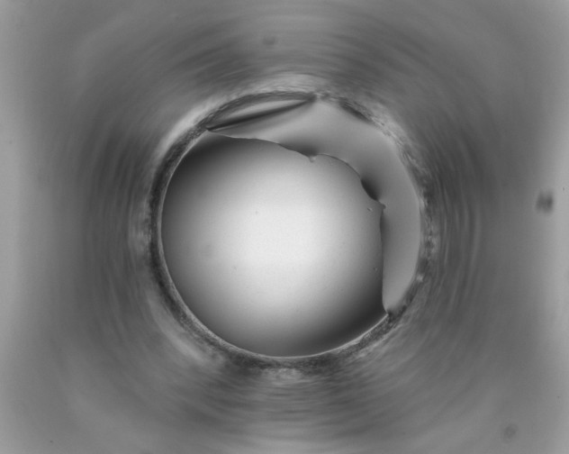 X0000090480392200707272323