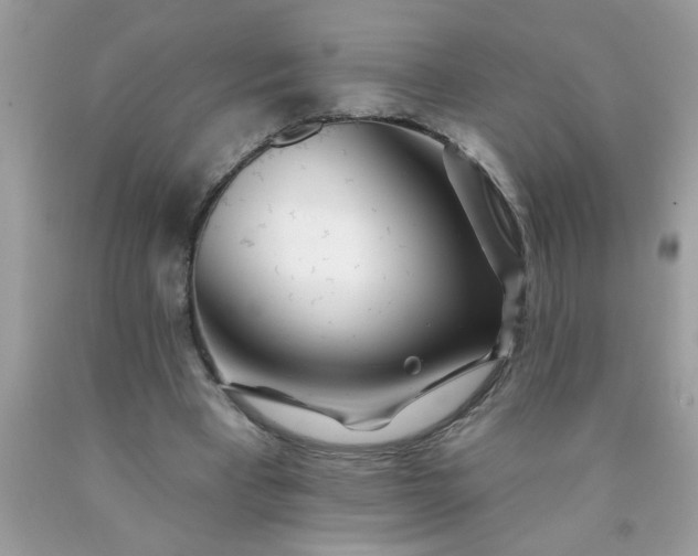 X0000090480393200707272323