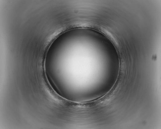 X0000090480394200707272323