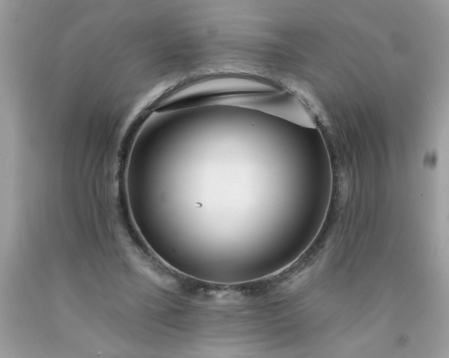 X0000090480395200707272323