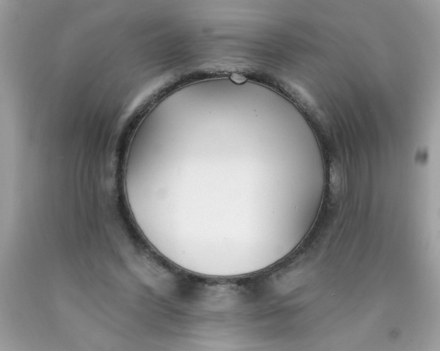 X0000090480396200707272323