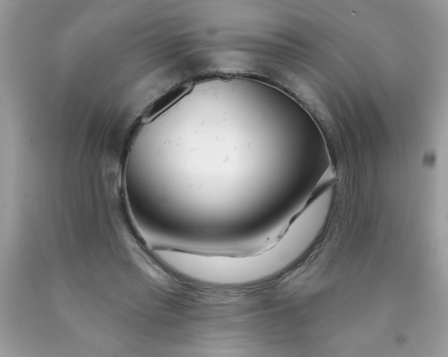 X0000090480397200707272323