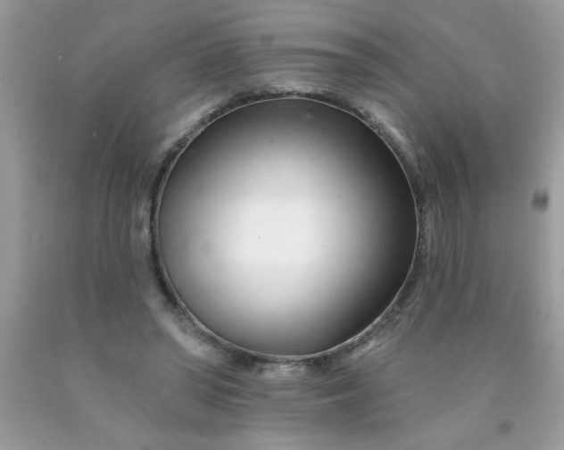 X0000090480398200707272323