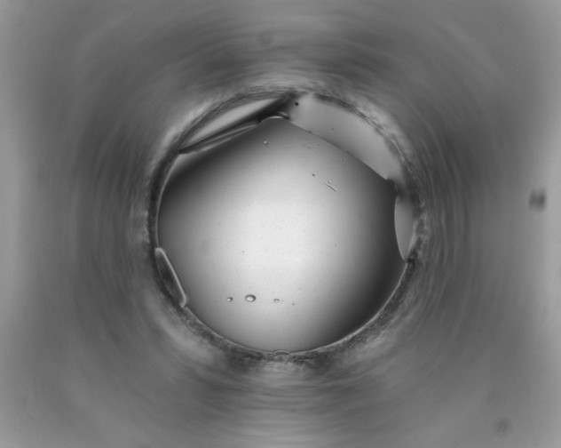 X0000090480399200707272323