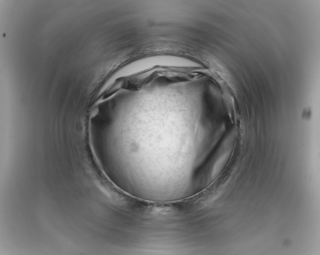 X0000090480401200707272323