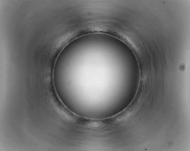 X0000090480402200707272323