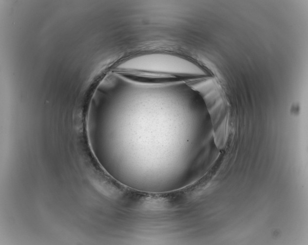 X0000090480403200707272323