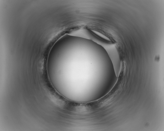 X0000090480404200707272323