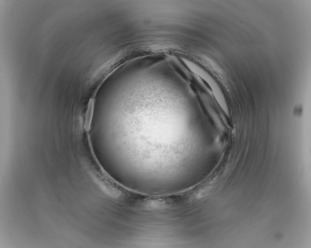 X0000090480405200707272323