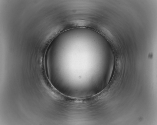X0000090480406200707272323