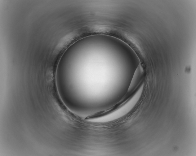 X0000090480407200707272323