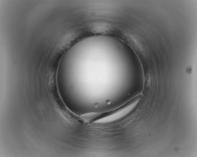 X0000090480408200707272323