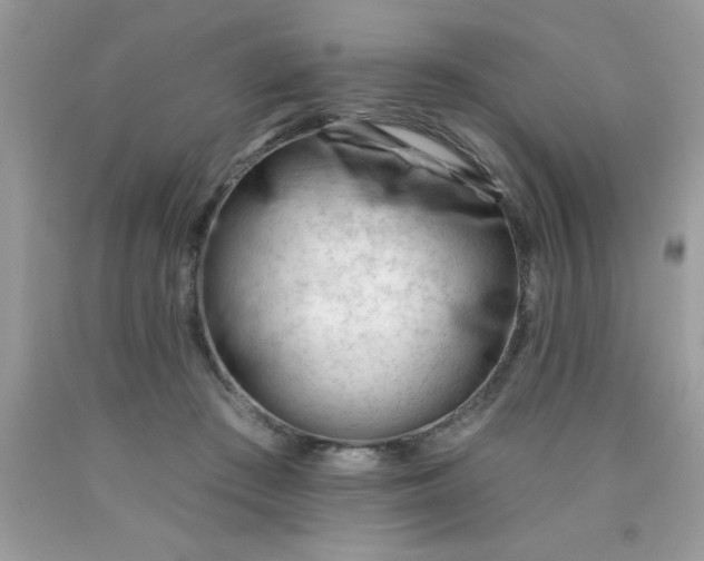 X0000090480409200707272323