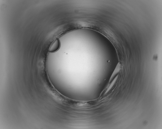 X0000090480410200707272323