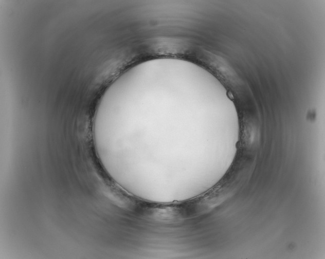 X0000090480411200707272323