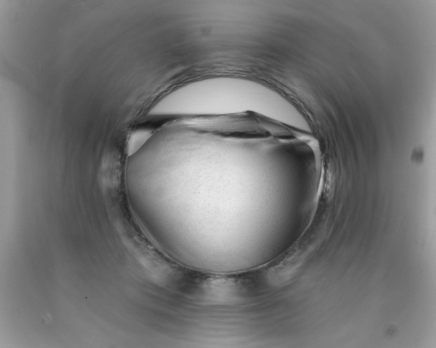 X0000090480413200707272323