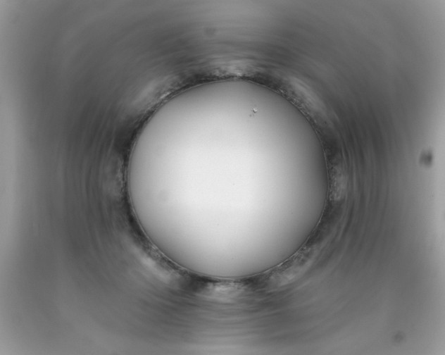 X0000090480414200707272323