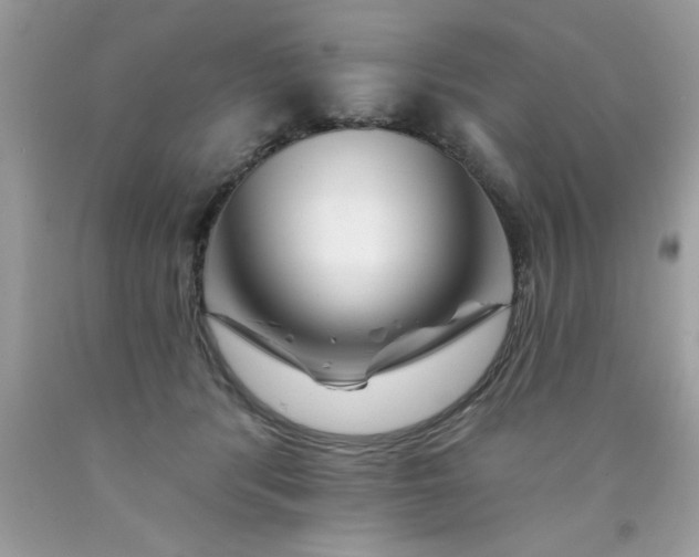 X0000090480416200707272323