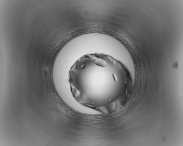 X0000090480417200707272323