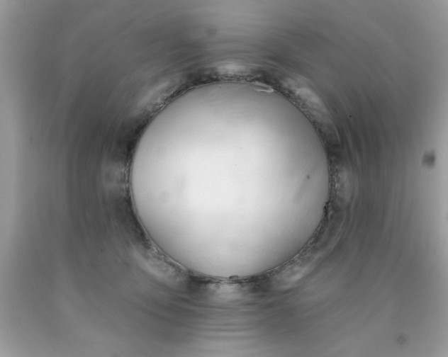 X0000090480419200707272323