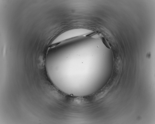 X0000090480420200707272323