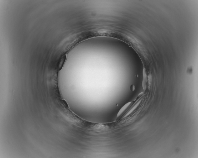 X0000090480421200707272323