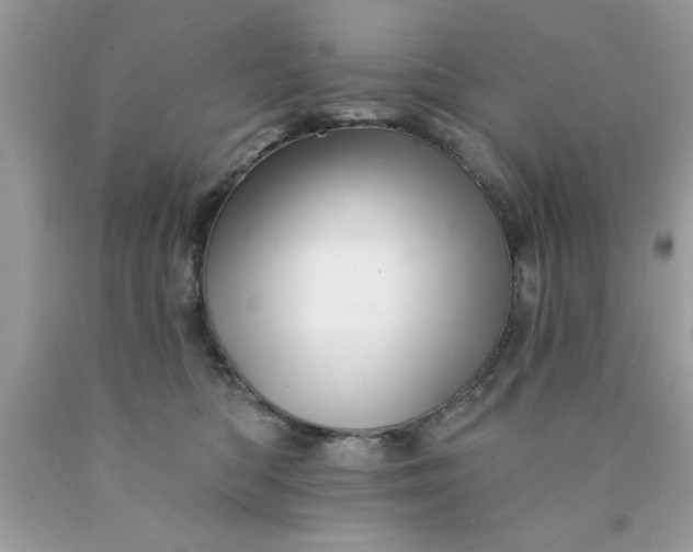 X0000090480422200707272323