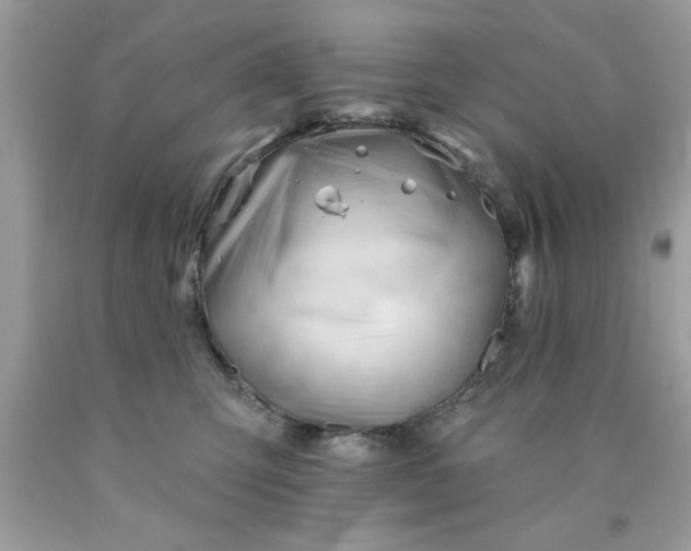 X0000090480423200707272323