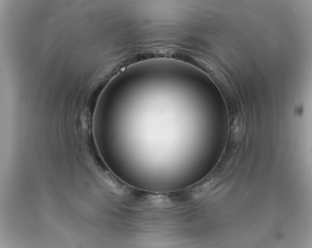 X0000090480424200707272323