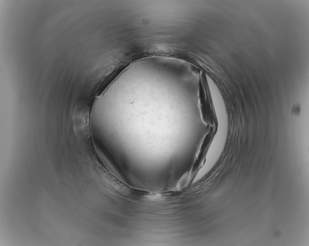 X0000090480425200707272323