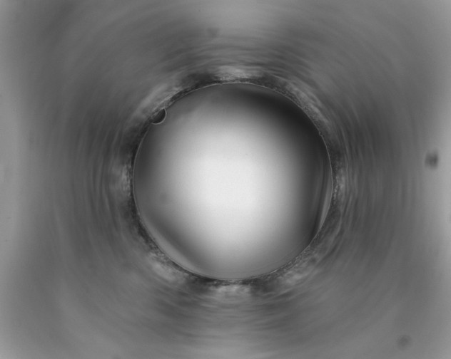 X0000090480426200707272323