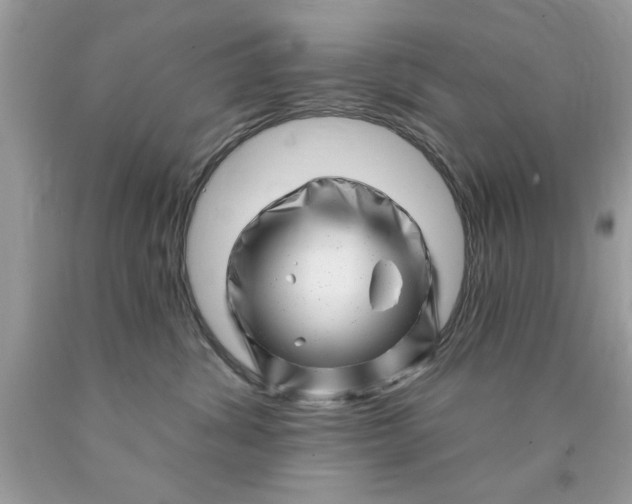X0000090480428200707272323