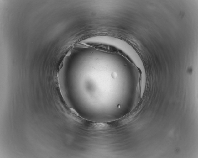 X0000090480429200707272323