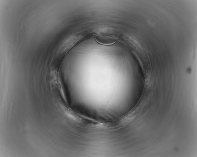 X0000090480430200707272323