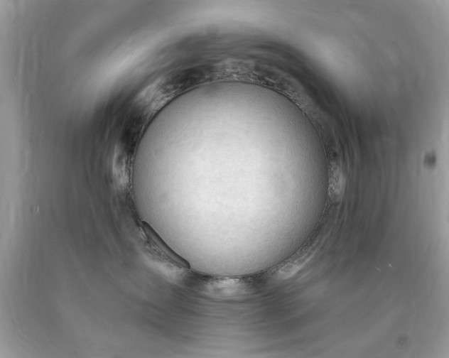 X0000090480431200707272323
