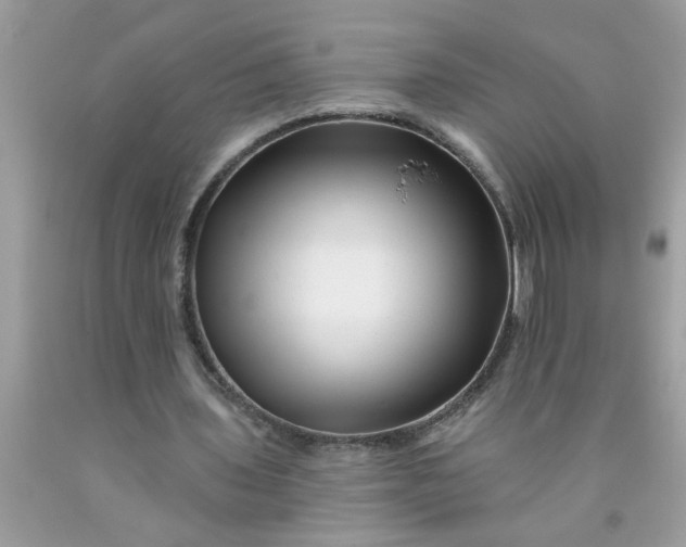 X0000090480435200707272322