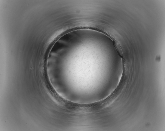X0000090480436200707272322