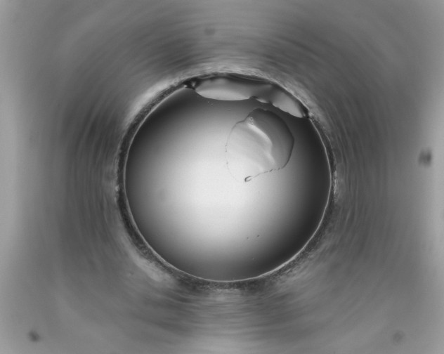 X0000090480438200707272322
