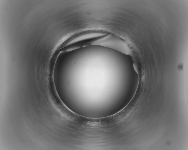 X0000090480440200707272322