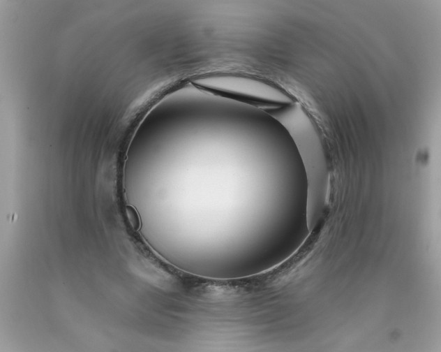 X0000090480442200707272322