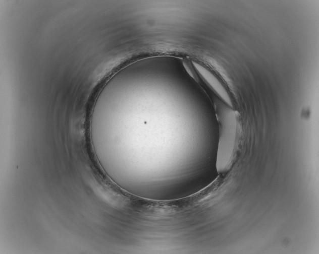 X0000090480443200707272322