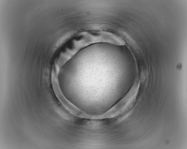 X0000090480444200707272322