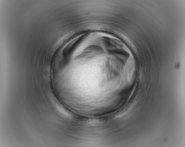 X0000090480445200707272322