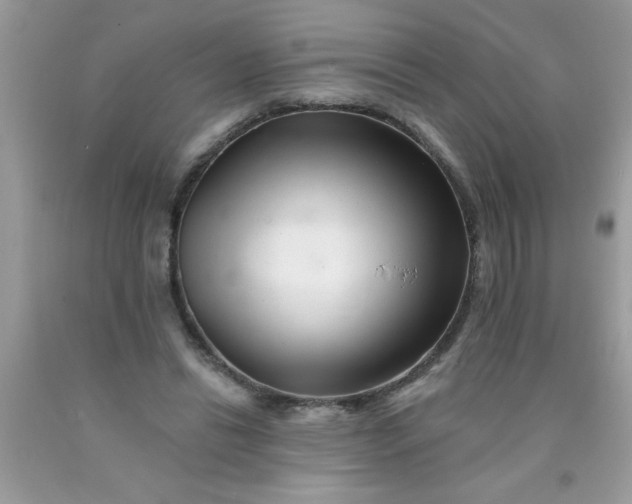 X0000090480446200707272322