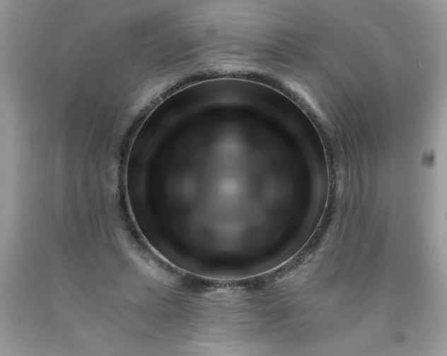 X0000090480447200707272322